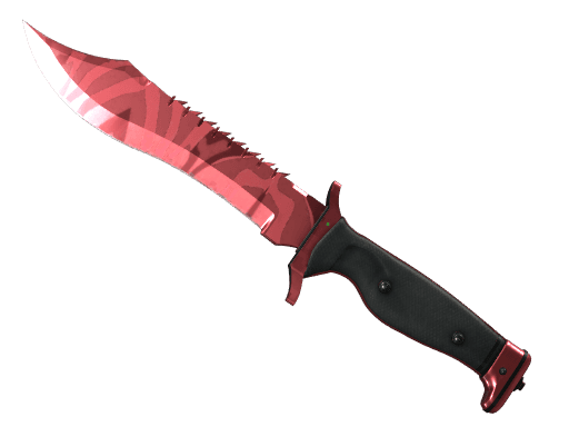 Bowie Knife | Slaughter