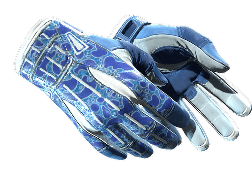 Sport Gloves | Amphibious